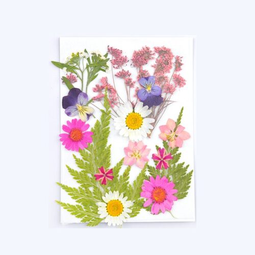 Planche de fleurs séchées rose et pressées mixte pour résine x1