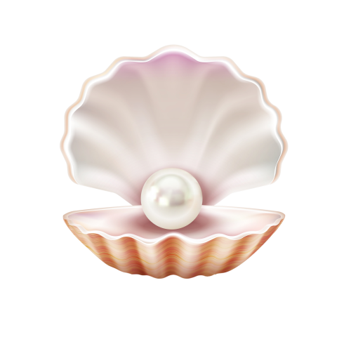 perle de culture, perle d'eau douce, perle coquille