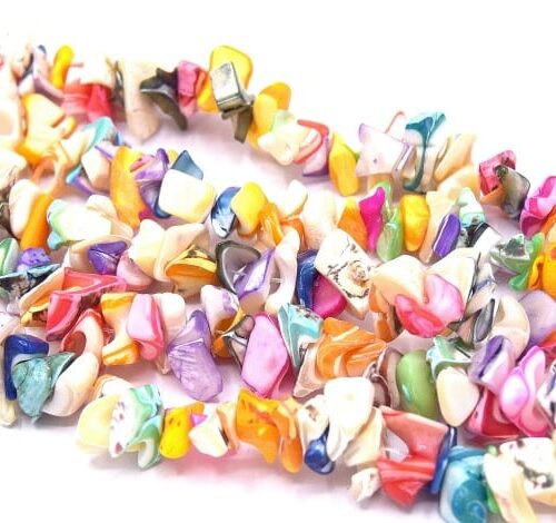 Perles de coquille de Trochid naturel multicolore X 40