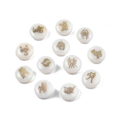 Perles constellations coquillage d'eau douce