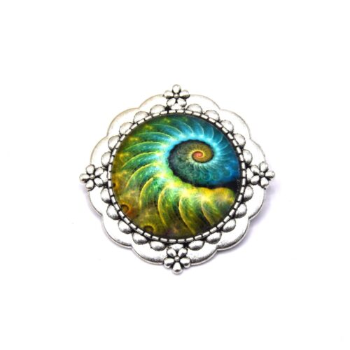Broche Nautilus en métal argenté x1