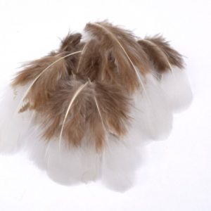 plumes naturelles de coq blanches et grises