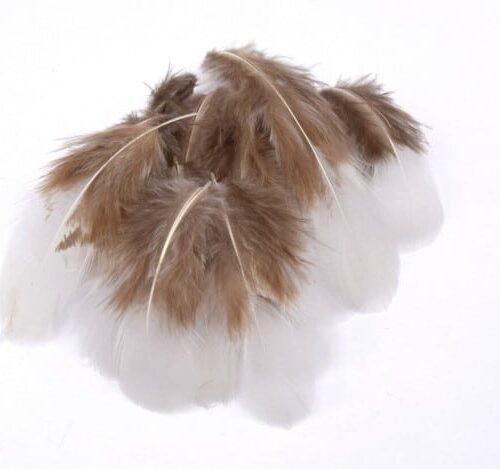 plumes naturelles de coq blanches et grises