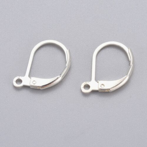 12 supports de boucles d’oreilles dormeuses à levier en acier inoxydable 304 argenté