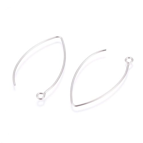 Crochets d'oreilles 41mm en acier inoxydable 304 x20