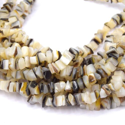 Perles coquille d'eau douce beige et noir x50