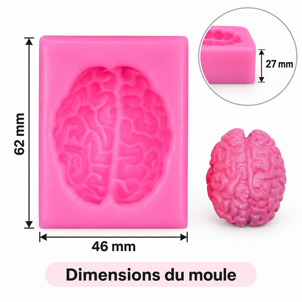 Infographie des dimensions d’un moule cérébral rose