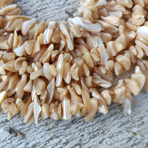 perle de coquille tronchide beige irrégulière forme pétale