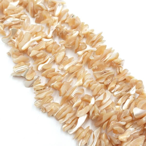 perle de coquille tronchide beige irrégulière forme pétale