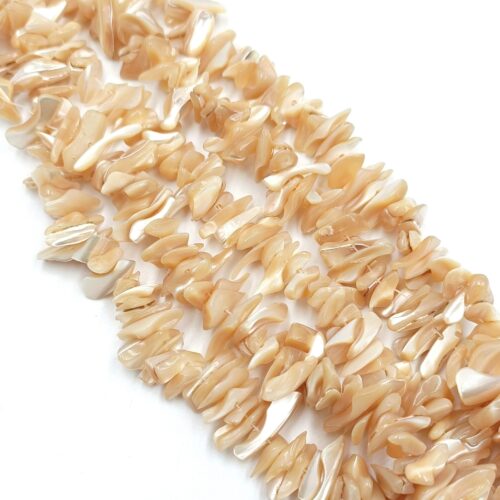 perle de coquille tronchide beige irrégulière forme pétale
