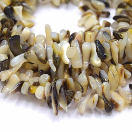 Perles coquille d'eau douce irrégulières beige et noir