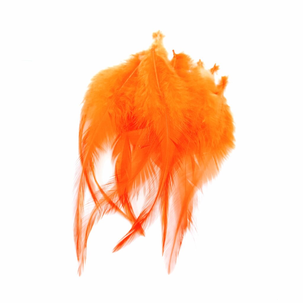 Lot De 20 Plumes De Coq Naturelles De 30 à 35 Cm - Plume De