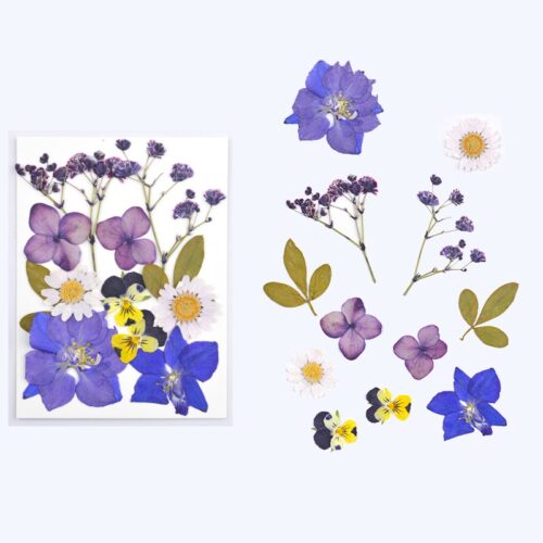 Planche de fleurs séchées & pressées violet x1