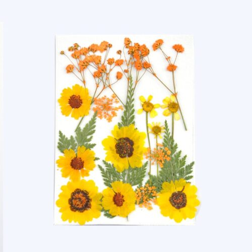 Planche de fleurs séchées pressées jaune pour résine x1