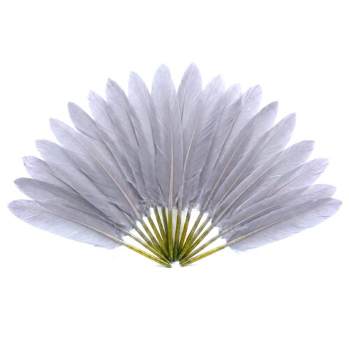 Lot de 20 plumes d'oie gris perle disposées en éventail sur fond blanc, montrant la texture douce et les dimensions variées de 11 à 14 cm, idéal pour les loisirs créatifs.