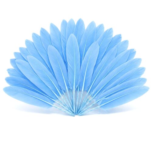 Plumes d'oie bleu ciel disposées en éventail sur un fond blanc pur, montrant la texture soyeuse et la forme régulière des plumes