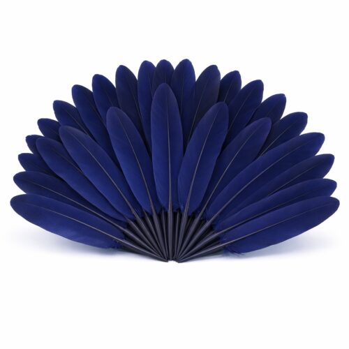 Plumes d'oie bleu marine disposées en éventail sur un fond blanc pur, montrant la texture soyeuse et la forme régulière des plumes
