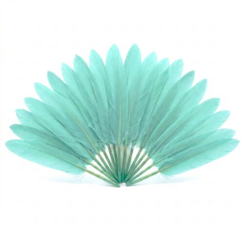 Plumes d'oie vert menthe clair disposées en éventail sur un fond blanc pur, montrant la texture soyeuse et la forme régulière des plumes