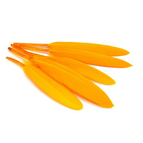 plumes d'oie orange