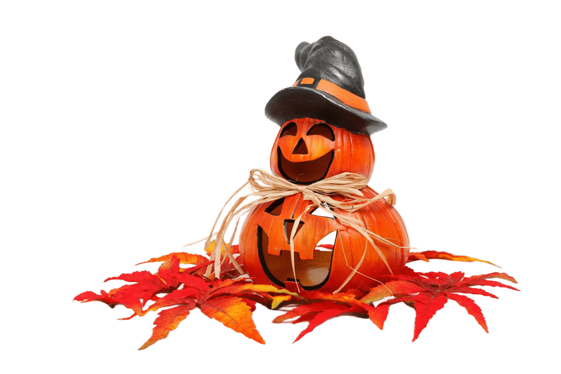 Deux citrouilles d'Halloween avec chapeau de sorcière et feuilles d'automne