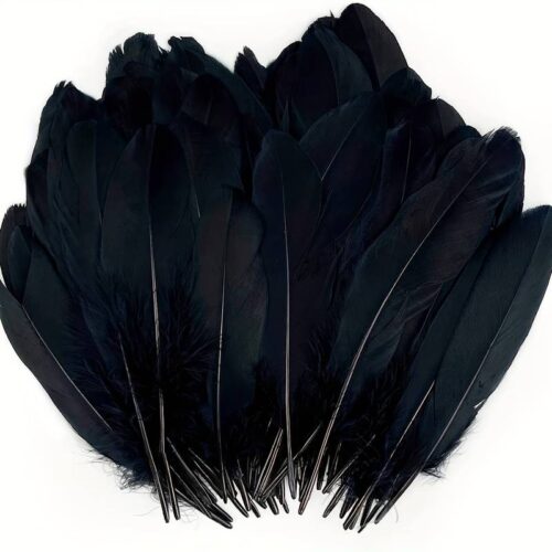 Plumes d'oie noire X20