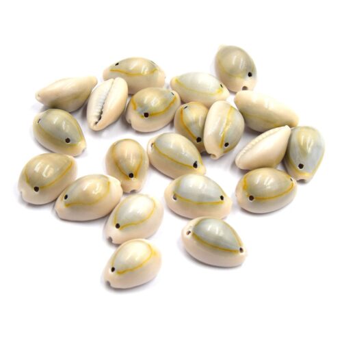 Coquillages Cauris Connecteurs