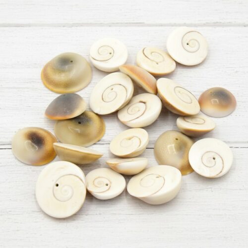 perles oeil de Sainte Lucie en coquillage tropical Lot de 10 naturel 20mm