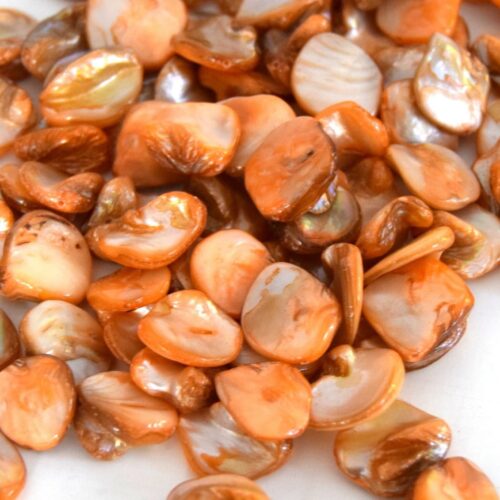 Perles coquille d'eau douce caramel