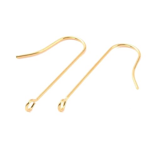Crochets d'oreilles verticales en acier chirurgical 316 x10