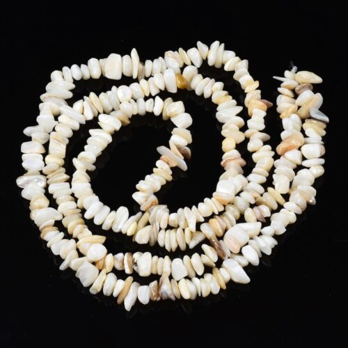 Perles coquilles d'eau douce beige puce X1 chapelet