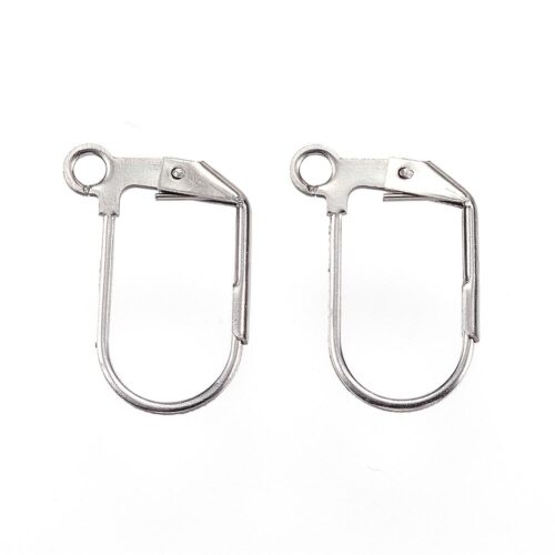 Dormeuses en acier inoxydable argent platine 17mm