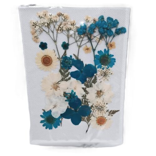 Planche de fleurs séchées pour résine bleues et blanches pour création en résine