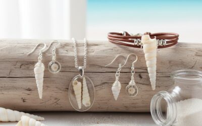 🐚 Le coquillage Turritella – une spirale naturelle au charme intemporel