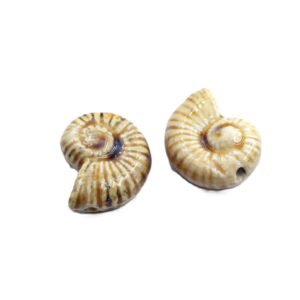 perle céramique escargot fossile beige
