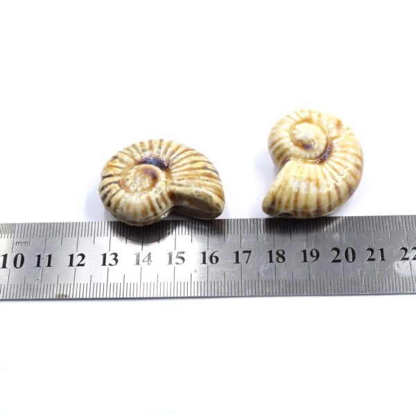 Perles Porcelaine Émaillée Antique Escargot de Mer Beige X2 – Image 5