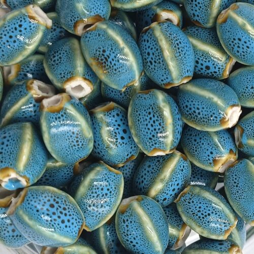 Lot de 10 perles en porcelaine bleue émaillée forme ovale