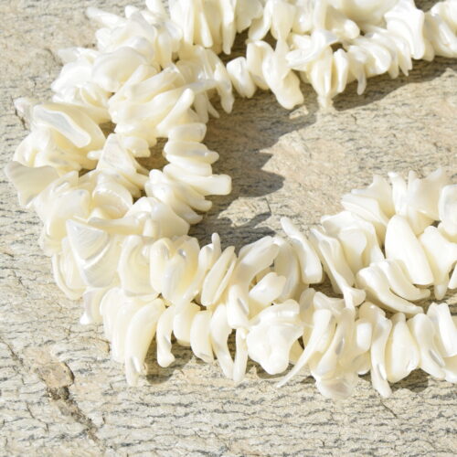 Perles Pétales Coquillage Nacre Blanc Ivoire - Eau Douce - Lot x20/x40