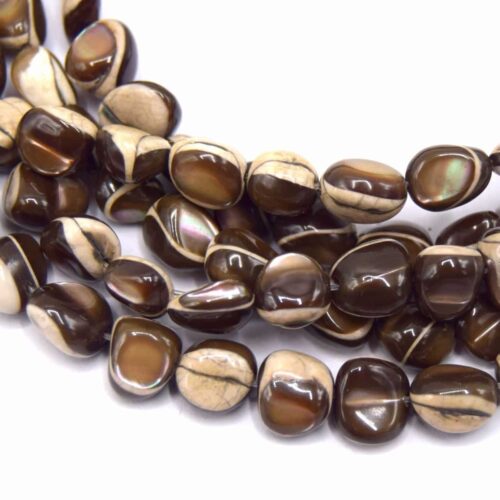 perles de coquillage nacre naturel  marron