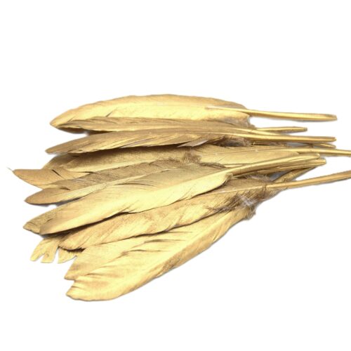 Plumes d'oie dorées x20