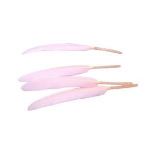 plume d'oie rose poudré