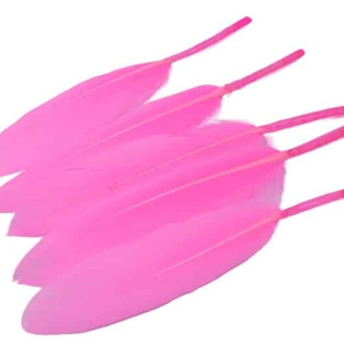 Plumes roses