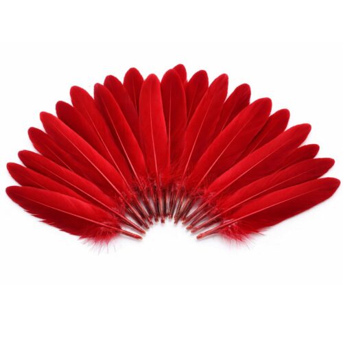 plumes d'oie rouges naturelles pour création DIY