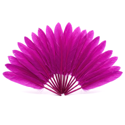 Lot de 20 plumes d'oie fuchsia naturelles disposées en éventail sur fond blanc pour créations et bijoux