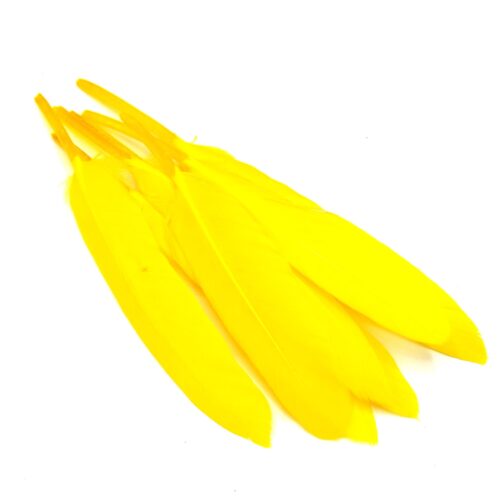plumes jaunes2