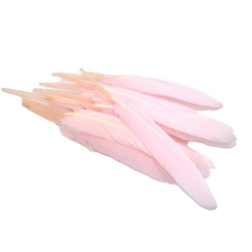 plumes roses naturelle, plumes d'oie