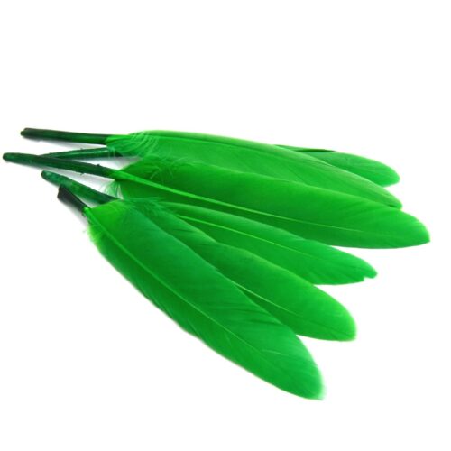 Plumes vertes