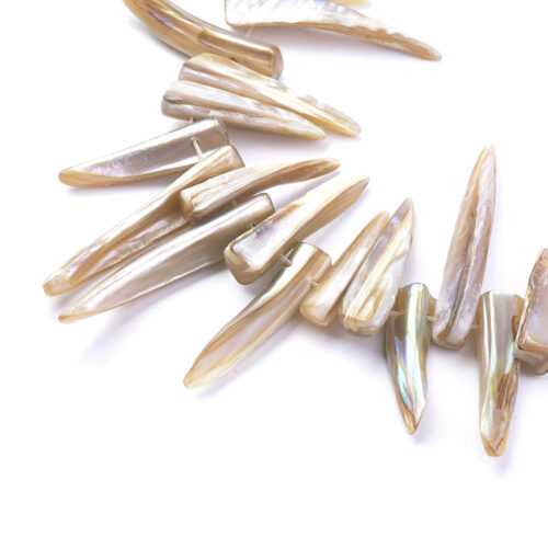 Perles pointes de coquille d'eau douce x20