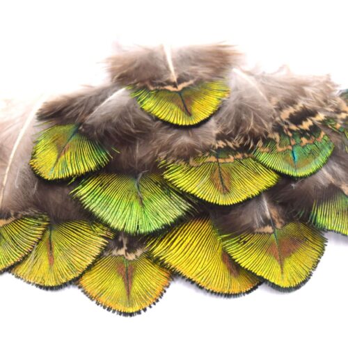 Plumes naturelles de paon duvet vert Grade A